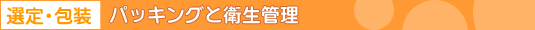 選定・包装:パッキングと衛生管理